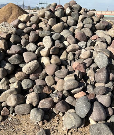 Dino Eggs